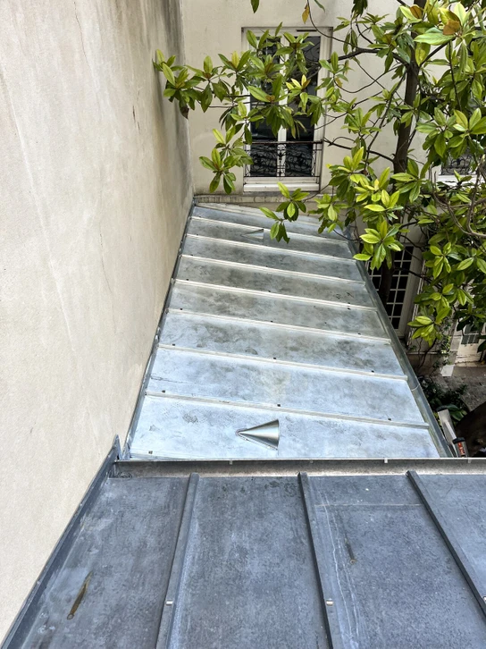Cheminée en briques anciennes sur toiture résidentielle, extérieur jour ensoleillé, arbres en arrière-plan, ciel bleu dégagé