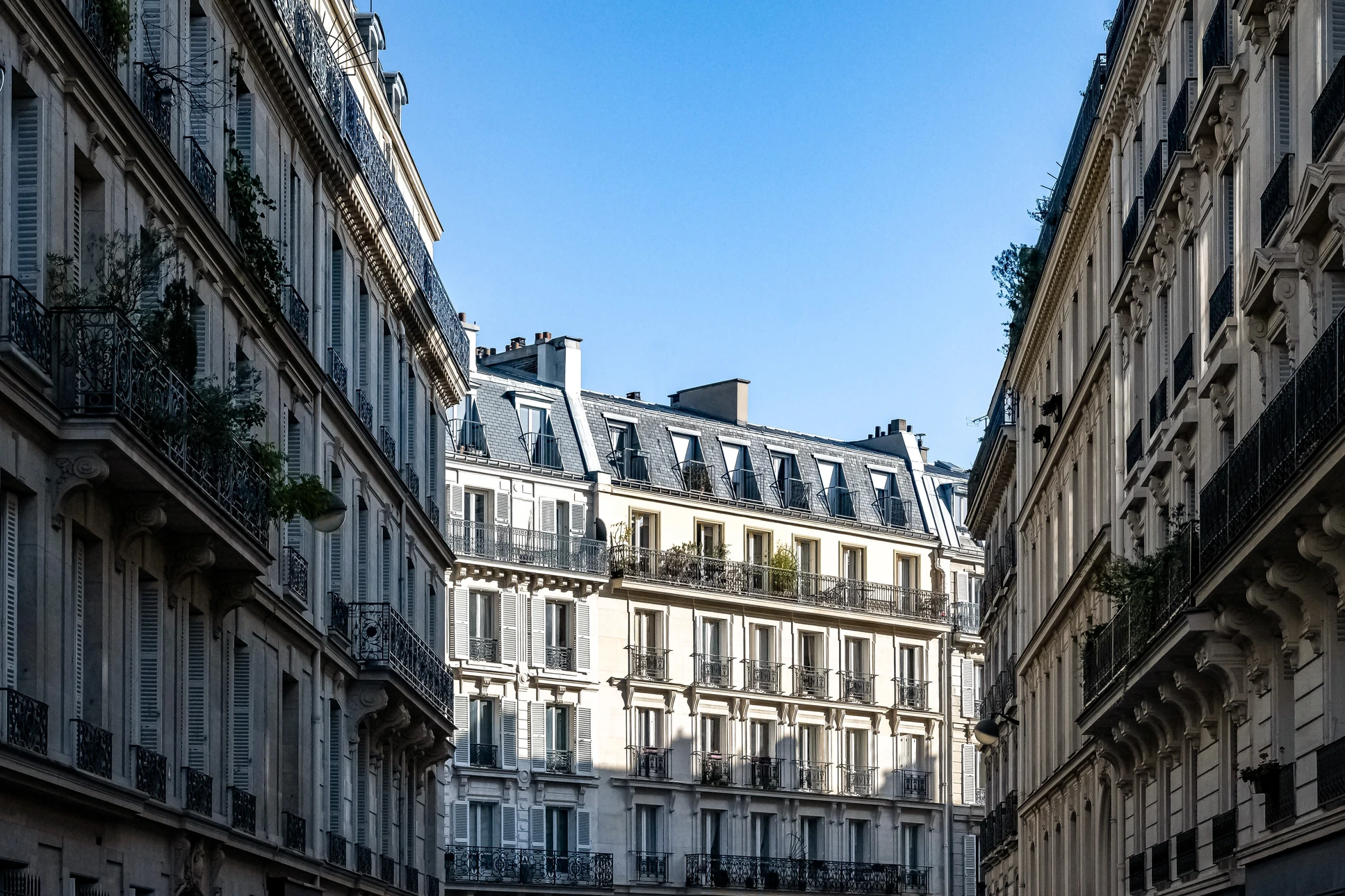 Façade d'immeuble haussmannien en pierre de taille blanche sous ciel bleu azur
